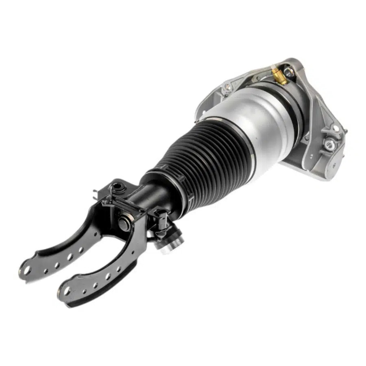 Untitled design - 2026-01-14T143038.886