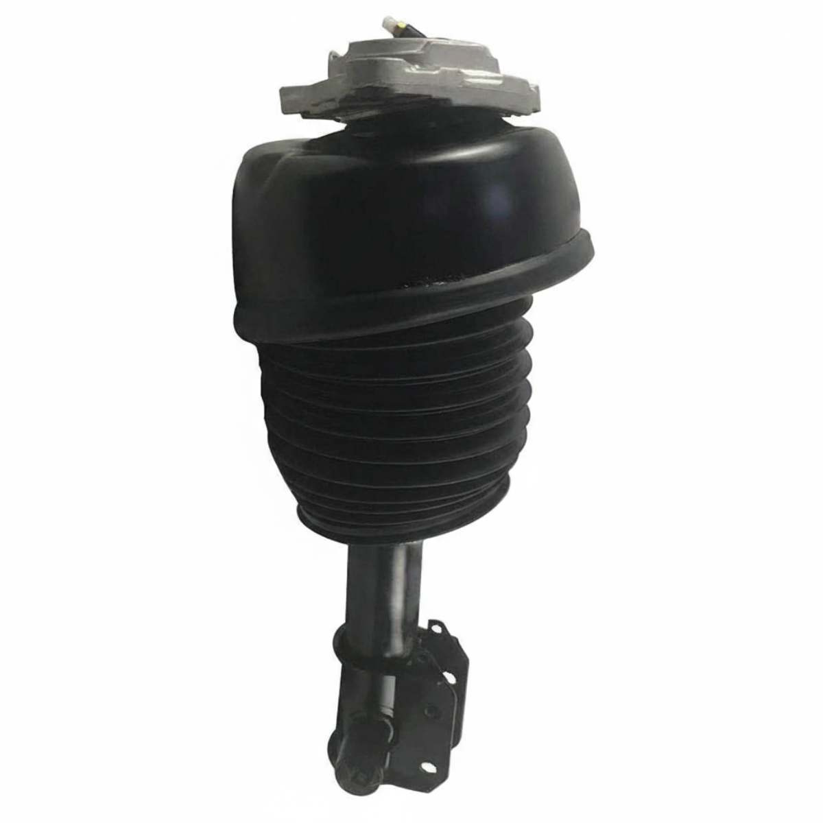 Untitled design (75)